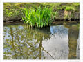 La nature s'habille de nouveau -- 20/04/10