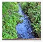 O� vas-tu, ruisselet discret�? -- 15/10/09