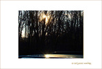 Reflets d'Hiver -- 22/01/09
