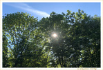 Un apr�s-midi ensoleill� de Printemps -- 05/06/19