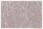 Sol d'Hiver -- 11/03/14
