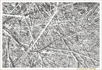 Comme un sol en Hiver -- 21/01/14