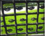 Le Petit Sablon et les Math�matiques� -- 08/07/06