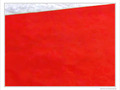 Tapis rouge -- 07/12/09
