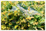 Le Printemps dans la Rue 2026 -6- -- 06/06/26