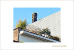 Jardin d'Hiver - 001 - -- 10/12/08