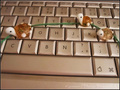 Ne perdons pas le Fil -- 01/02/11