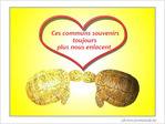 Je t'aime plus chaque jour ...