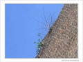 Tout l� haut ... -- 11/09/04
