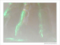 Spectre�? -- 26/05/07