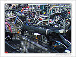 Dimanche sans v�lo! Oups!!! Sans voiture 2007