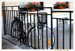 Pour aller sur les Chemins -- 07/07/12