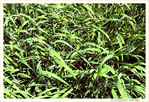 Sous le Soleil -06- �t� 2021 -- 28/08/21