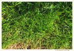 Sous le Soleil -08- �t� 2021 -- 07/09/21