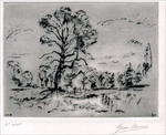 Arbres � Uccle - Verrewinkel - en 1973 -- 06/04/13