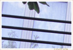 Transparence vitr�e -- 01/10/10