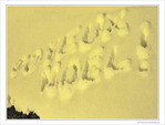 Joyeux No�l 2009 -- 24/12/09