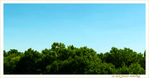 En Bleu et Vert, l'�t� 2020 -- 06/08/20